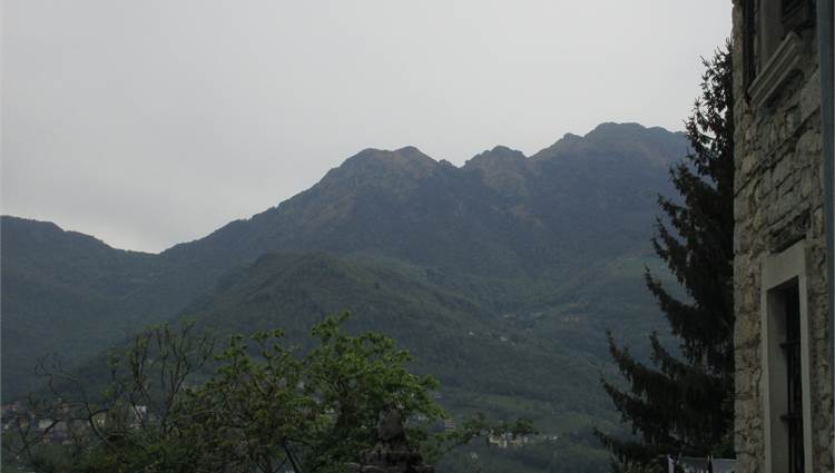 Vista