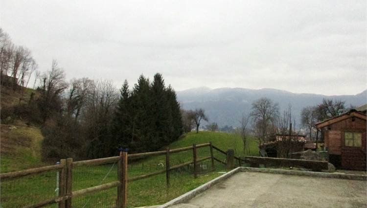 Vista
