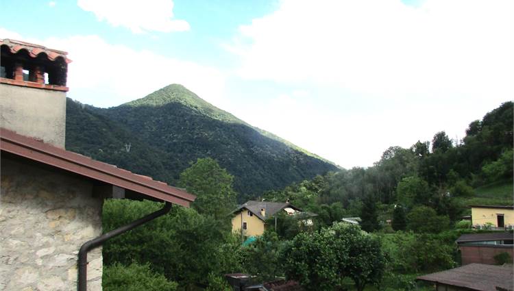 Vista