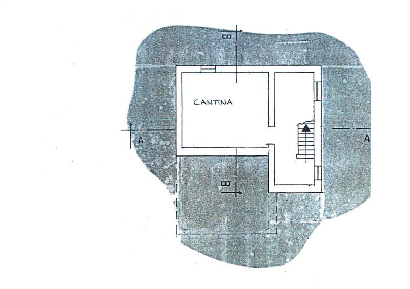 Cantina